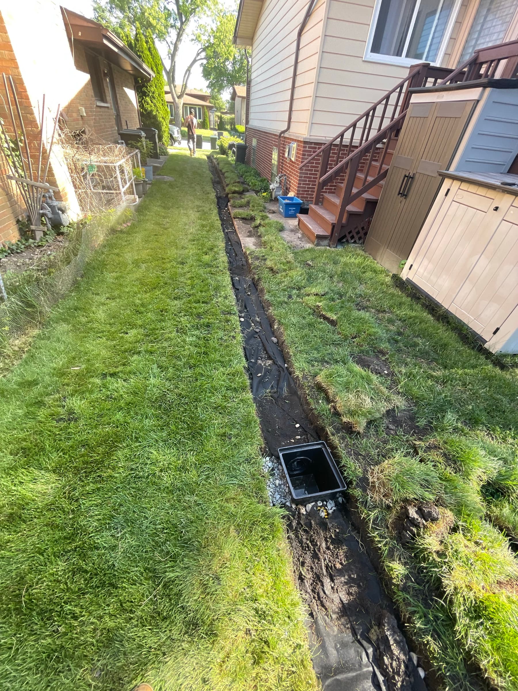 Square catch basin set flush in the lawn over a backfilled drain line