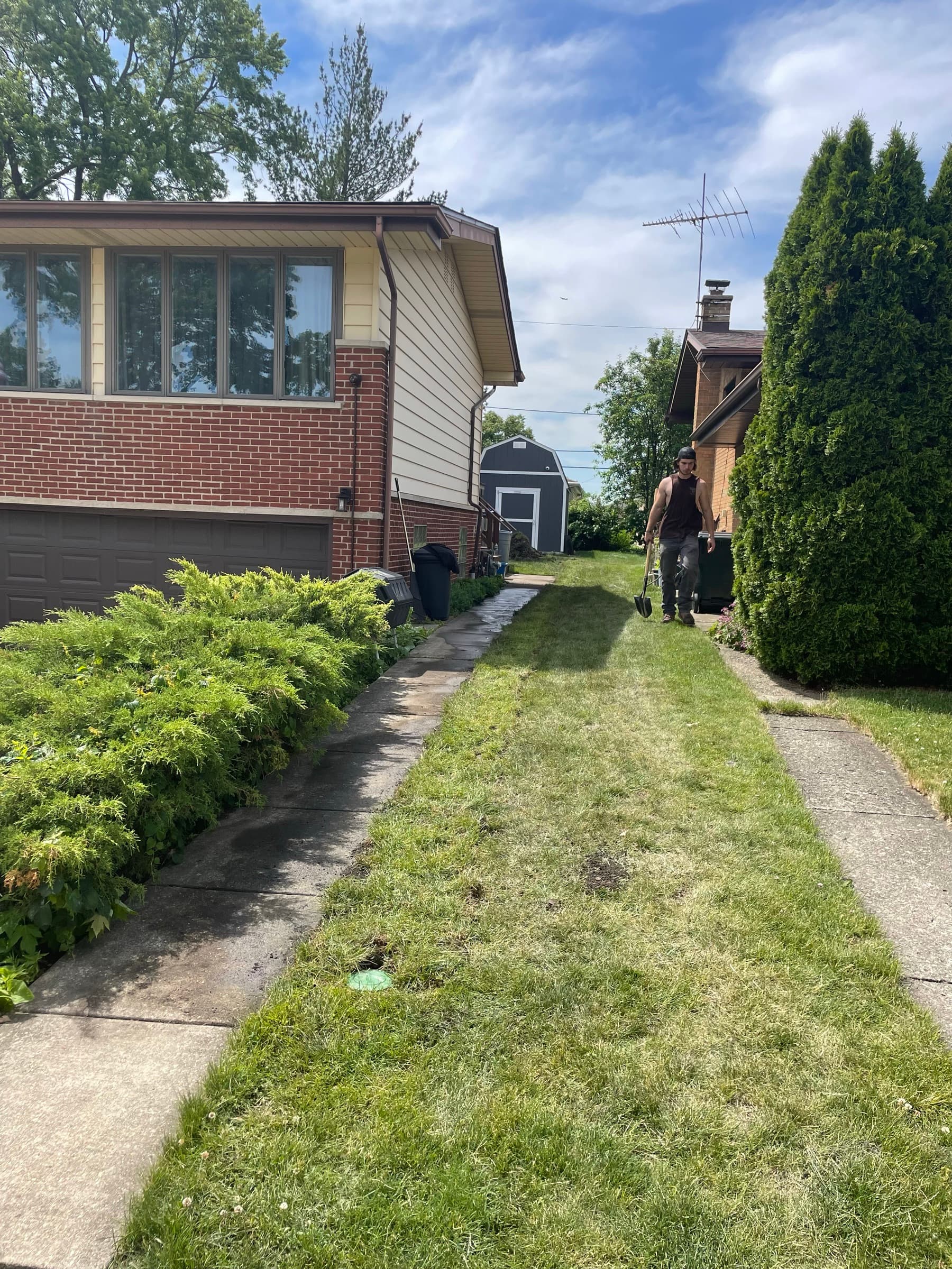 Side yard restored and reseeded over a completed drain run