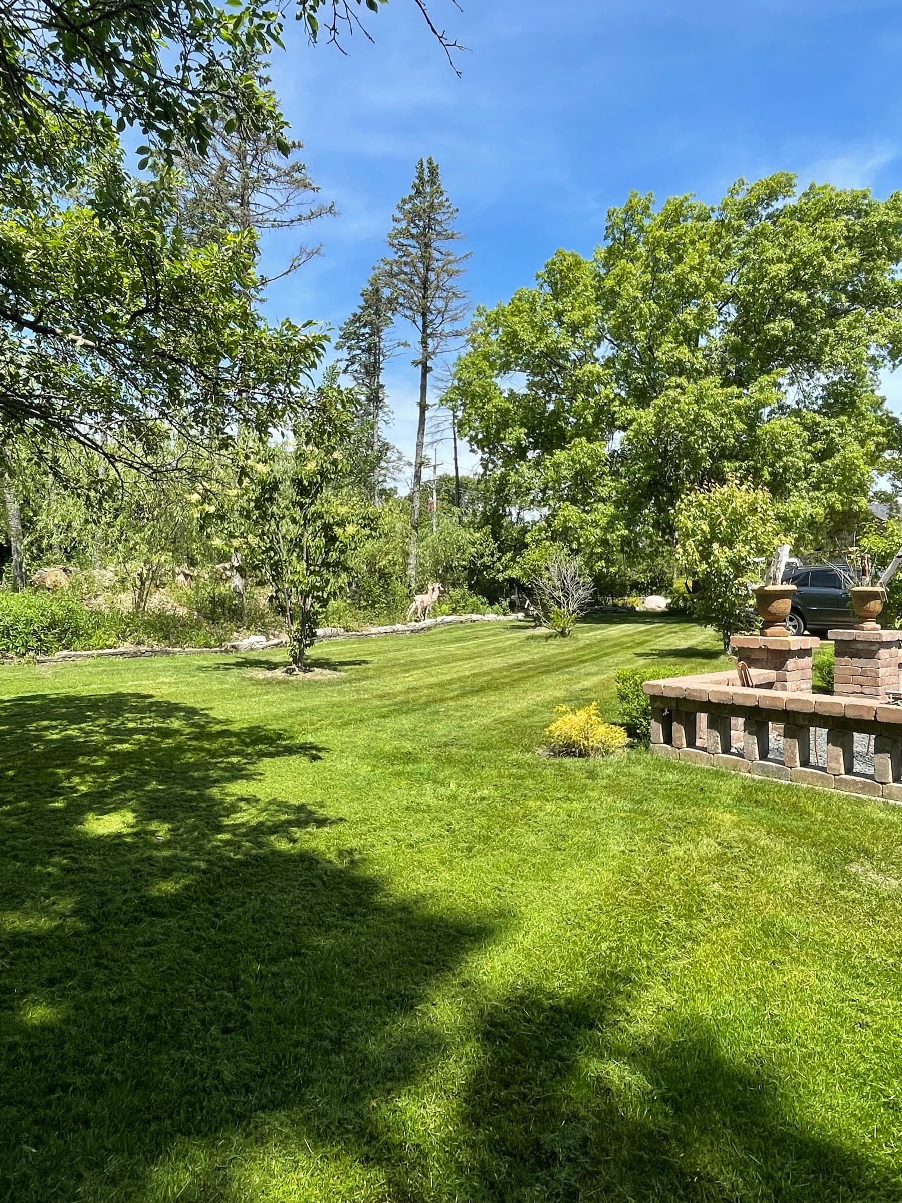 Large back lawn under mature trees with a raised stone patio wall at the edge