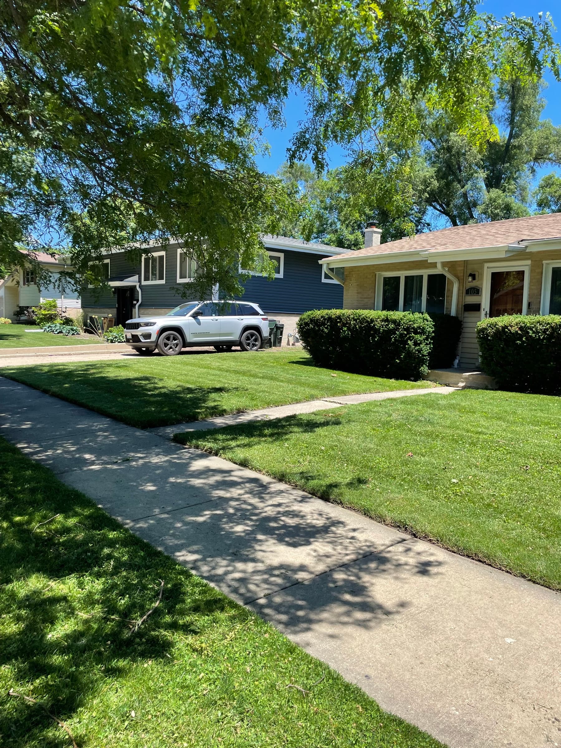 Mown front lawn and parkway strip at a pale blue ranch house in full sun