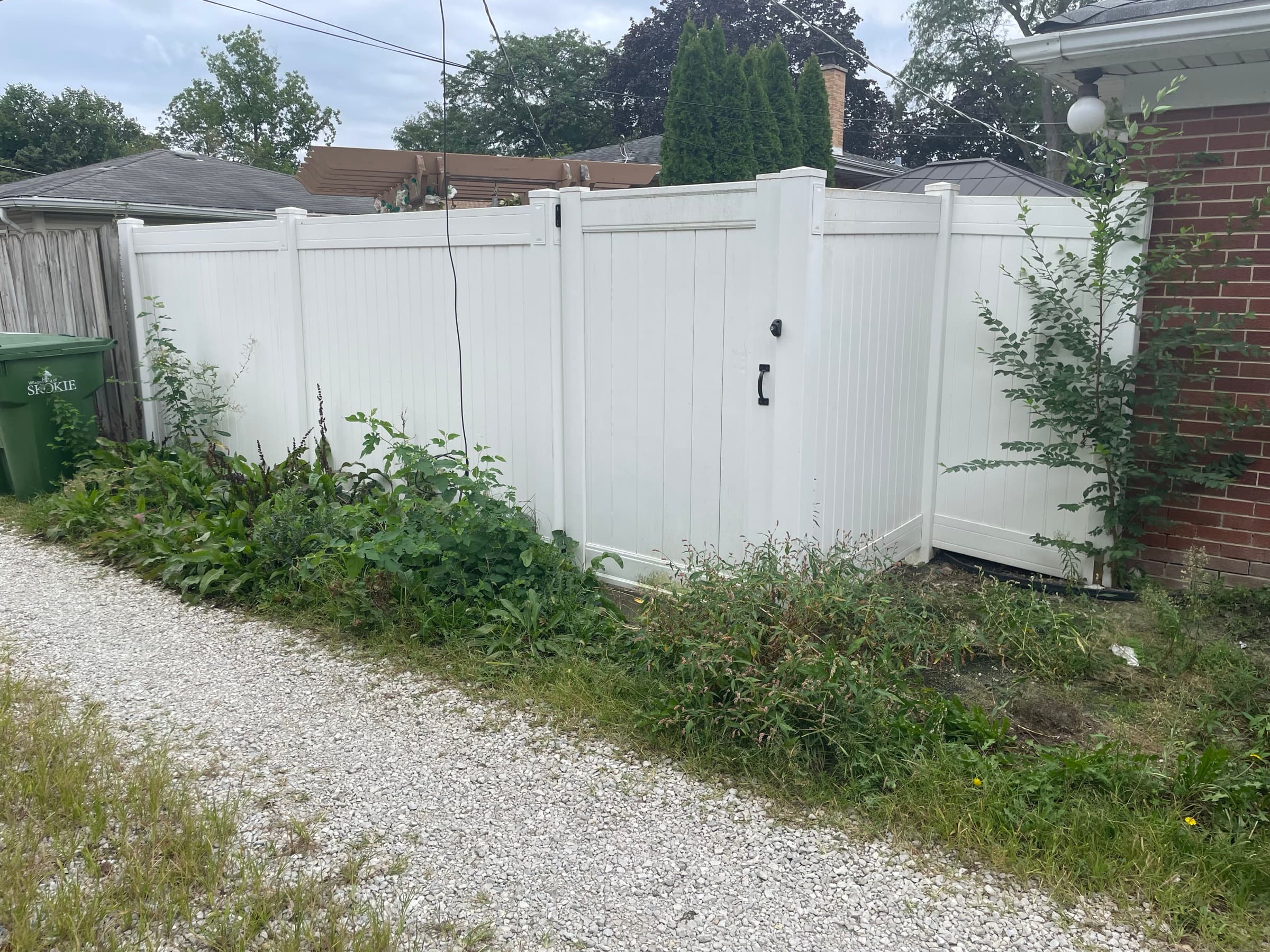 Fence line overgrown with weeds before treatment