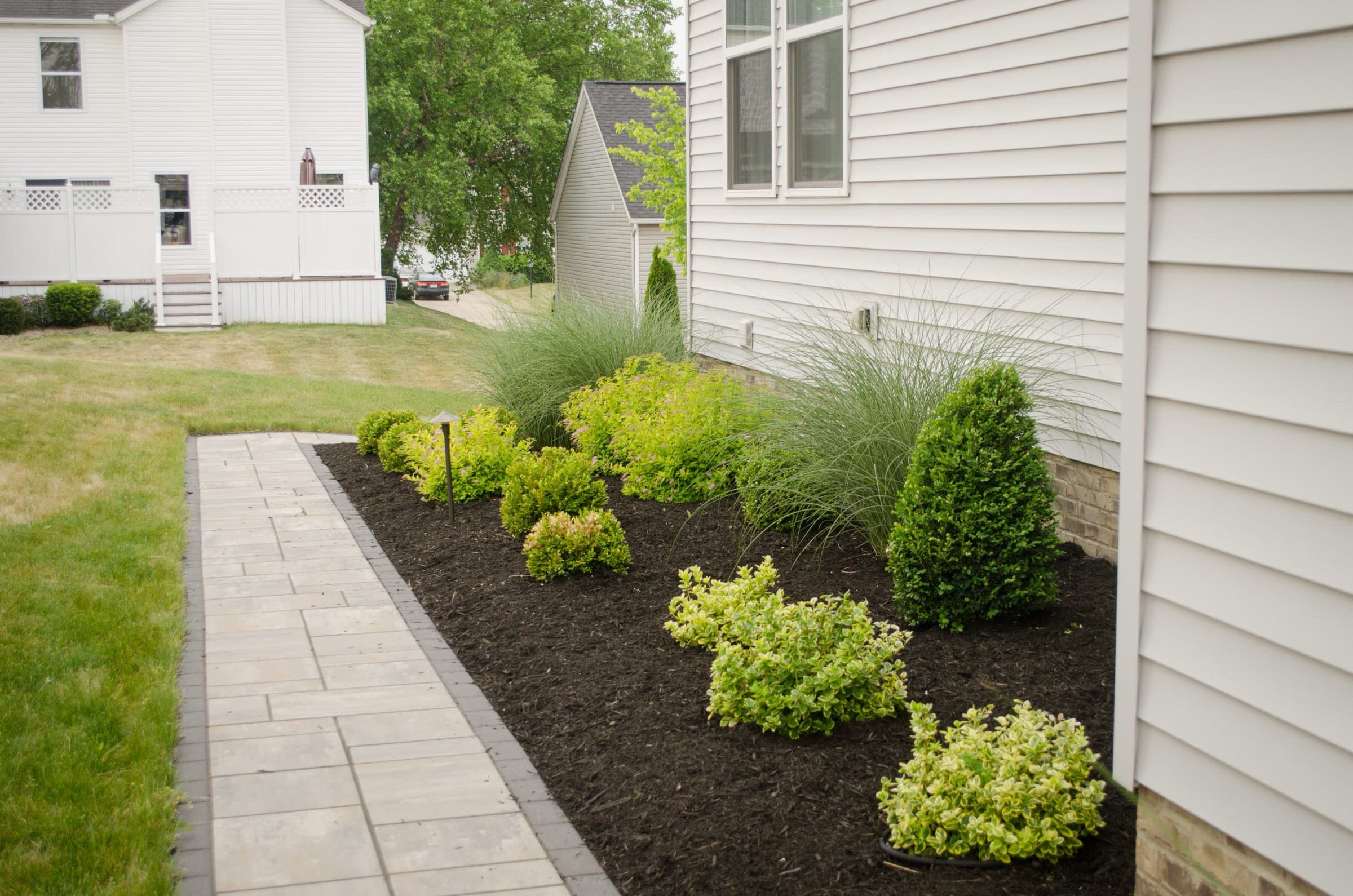 Mixed shrub and ornamental grass bed in dark mulch running beside a paver walkway